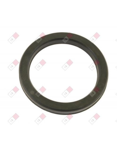 JUNTA PORTA SUPLEM IBEITAL