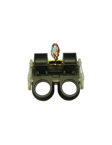 CONJ TRANPILLAS Q10 COMPLETO