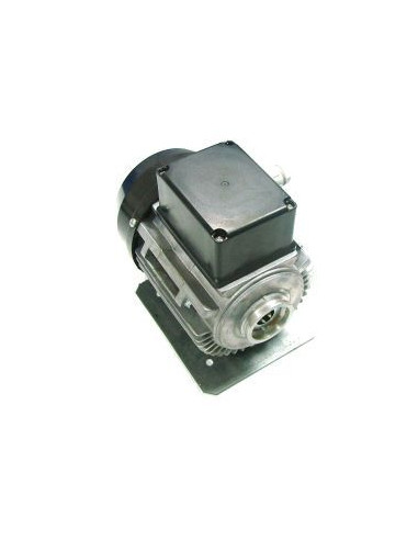 MOTOR PARA BOMBA 230V 300W RPM