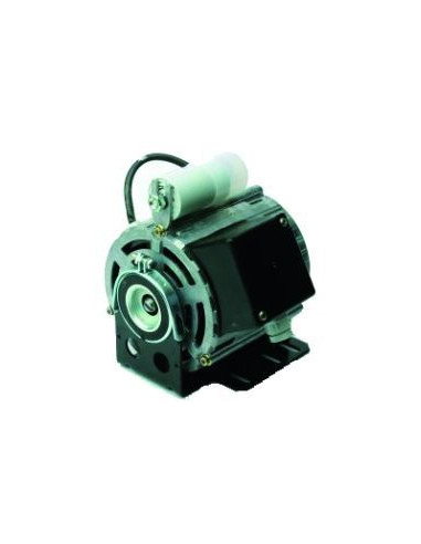 MOTOR PARA BOMBA 165W 230V 50/60Hz