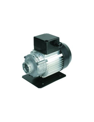 MOTOR PARA BOMBA ABRAZADERA 230V 50/60Hz 300W